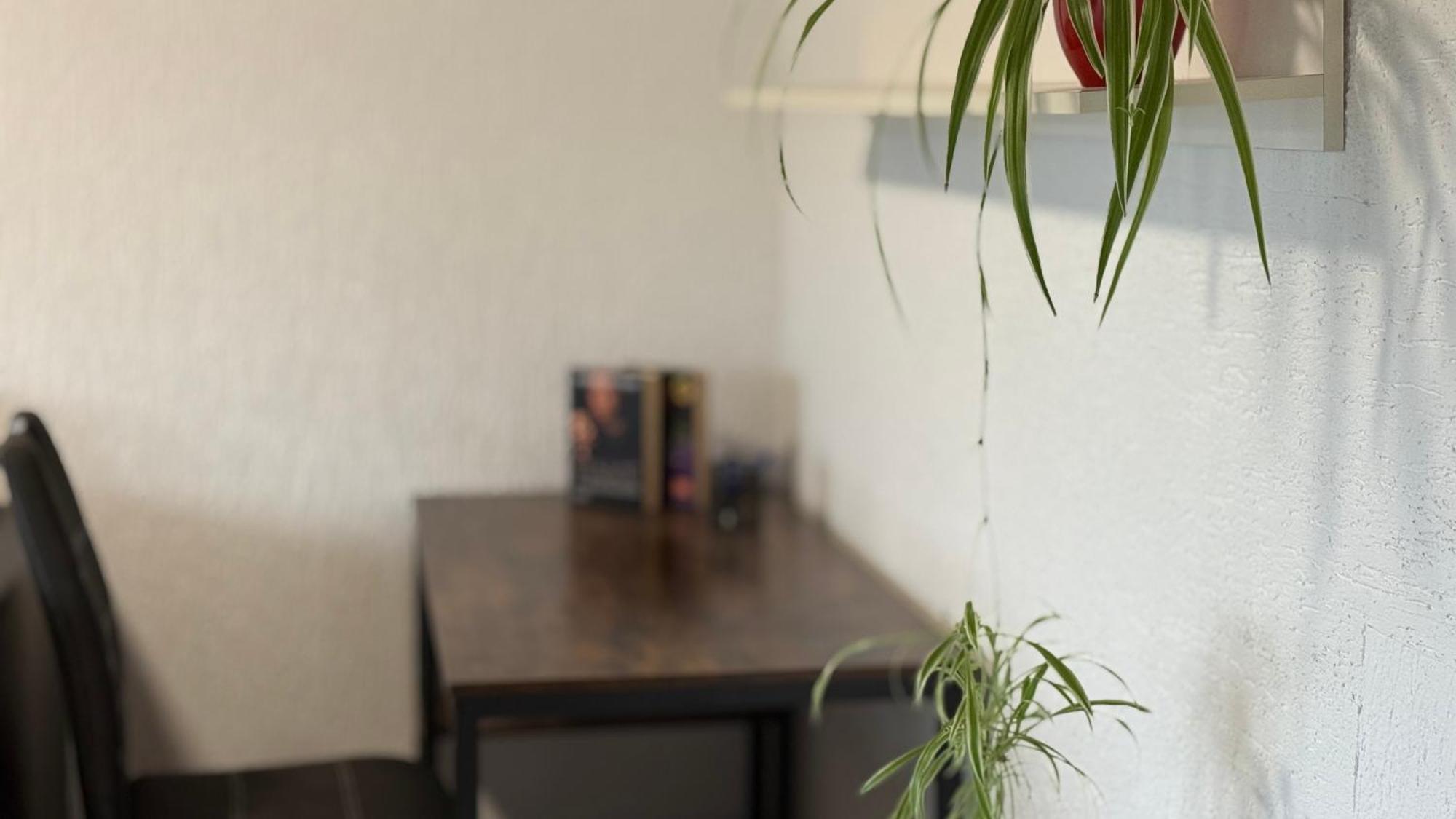 Gemuetliche 2 Zimmer Wohnung Бад-Херсфельд Экстерьер фото